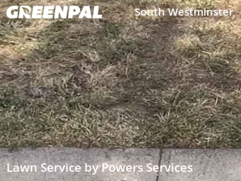 Work completed by yard-maintenance-professionals-in-Westminster-CA