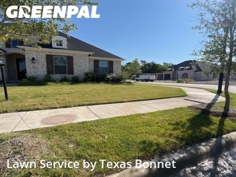 Affordable Landscaping In Mesquite,75181,Landscapers by Texas Bonnet , work completed in Jul , 2026