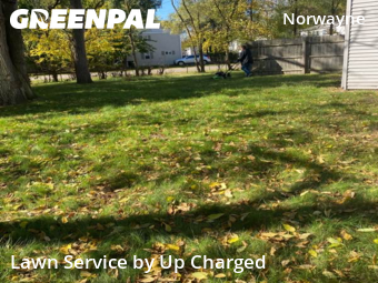 Lawn Cutting nearby Westland, MI, 