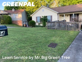 Yard Cutting nearby Antioch, TN, 