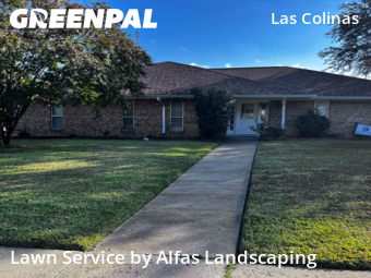 Commercial Landscaping In Irving,75038,Landscaping Maintenance by Alfas Landscaping, work completed in Nov , 2025