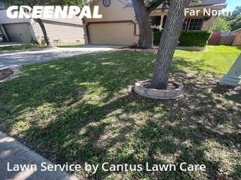 Lawn Cutting nearby San Antonio, TX, 