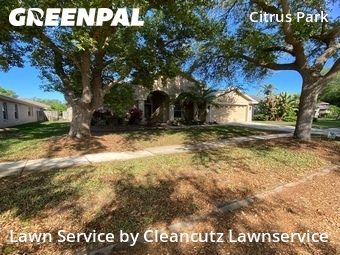 Lawn Mow nearby Tampa, FL, 