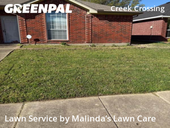 Grass Cut nearby Mesquite, TX, 