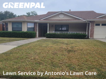 Lawn Carein Grand Prairie,75050,Lawn Mowing by Antonio's Lawn Care, work completed in Nov , 2025