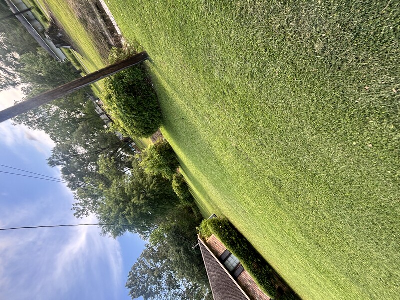 Work Image 1