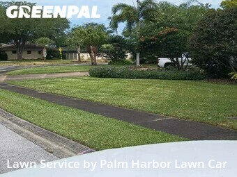 Grass Cutting nearby Palm Harbor, FL, 