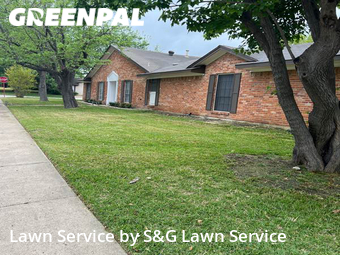 Grass Cut nearby Dallas, TX, 