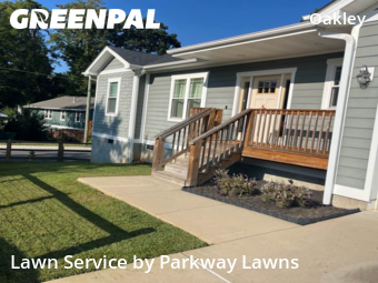 Yard Care in Asheville, 28803, Lawn Services by Parkway Lawns, work completed in Dec , 2025