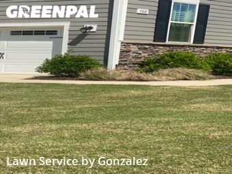 Lawn Cut nearby Holly Springs, NC, 