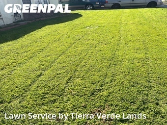 Lawn Cutting nearby Huntington Park, CA, 