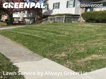 Lawn Mowing Service nearby Lexington, KY, 