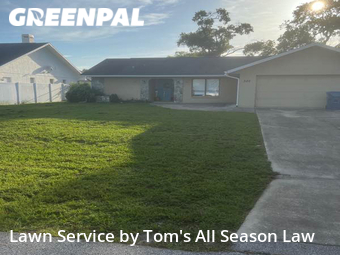 Grass Cut nearby Spring Hill, FL, 