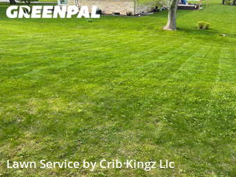 Grass Cut nearby Brookfield, WI, 