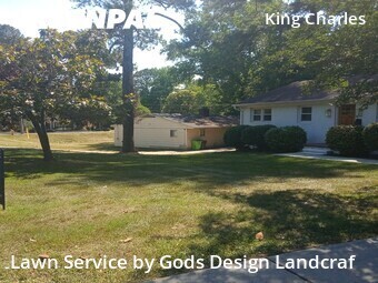Lawn Service nearby Raleigh, NC, 
