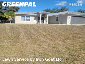 Lawn mowed in Cape Coral, 33914