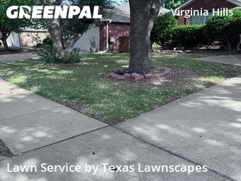 Yard Cutting nearby Mc Kinney, TX, 