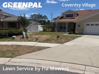 Lawn Mowing Service nearby Palm Harbor, FL, 