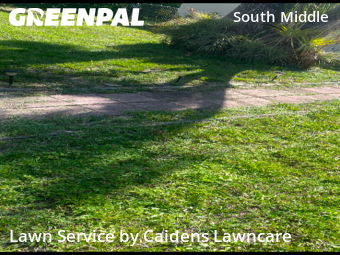 Yard Cuttingin Fort Lauderdale,33311,Grass Cutting by Caidens Lawncare , work completed in Nov , 2025