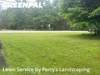 Grass Cutting nearby Wadsworth, OH, 