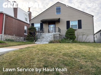 Grass Cut nearby St. Louis, MO, 