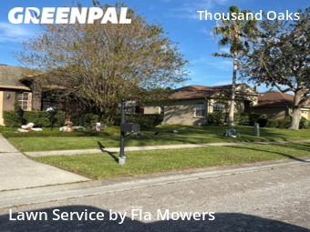 Lawn Mowing nearby Trinity, FL, 