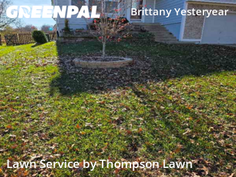 Landscaping Maintenance in Olathe, 66061, Yard Management by Thompson Lawn, work completed in Dec , 2025