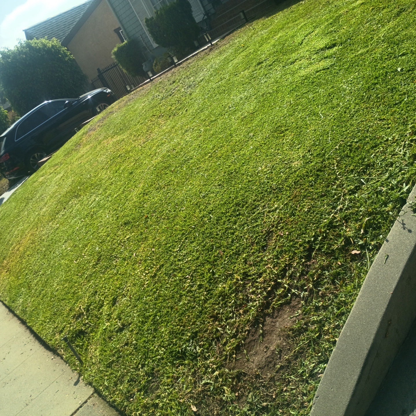 Lawn mowing work by Tierra Verde Lands in Huntington Beach, CA