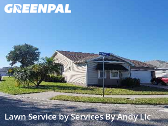 Yard Cutting nearby Oldsmar, FL, 