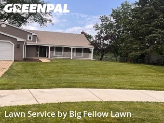 Lawn Mowing nearby Schaumburg, IL, 