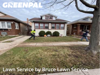 Lawn Cut nearby Oak Park, IL, 