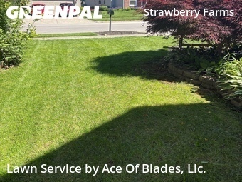 Grass Cut nearby Columbus, OH, 