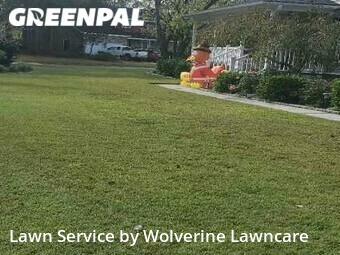Grass Cutting nearby Summerville, SC, 