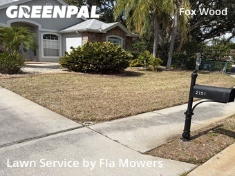 Lawn Care nearby Trinity, FL, 