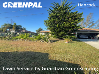Lawn mowed in Cape Coral, 33991