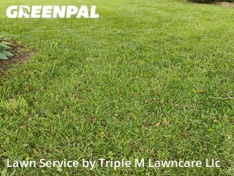 Grass Cutting nearby Gladstone, MO, 