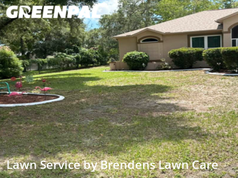 Grass Cutting nearby Spring Hill, FL, 