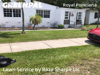 Grass Cutting nearby Hollywood, FL, 