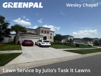 Grass Cut nearby Wesley Chapel, FL, 