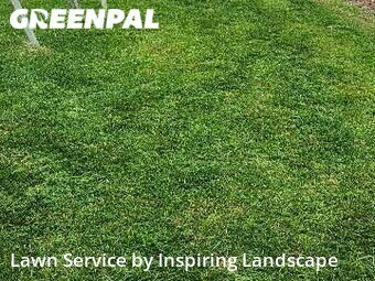 Lawn Care Service nearby Colorado Springs, CO, 
