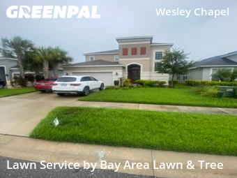 Lawn Care Service nearby Wesley Chapel, FL, 