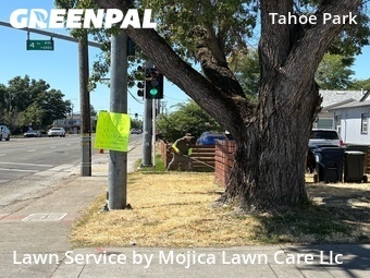 Affordable Landscaping Maintenance Services In Sacramento,95817,Landscape Design by Mojica Lawn Care Llc, work completed in Jun , 2026