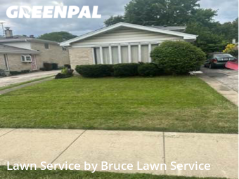 Lawn Care Servicein Skokie,60076,Yard Mowing by Bruce Lawn Service, work completed in Jan , 2026