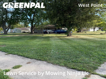 Lawn Care in North Ridgeville, 44039, Grass Cutting by Mowing Ninja Llc, work completed in Nov , 2025