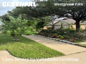 Lawn Cut nearby Katy, TX, 