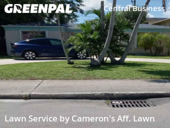 Yard Mowing nearby Hollywood, FL, 