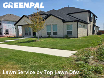 Grass Cut nearby Frisco, TX, 