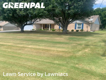 Lawn Cut nearby Harvest, AL, 