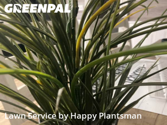 Yard Cutting in Huber Heights, 45424, Weed Trimming by Happy Plantsman, work completed in Oct , 2025