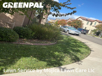 Work completed by professional-lawn-care-service-in-Folsom-CA